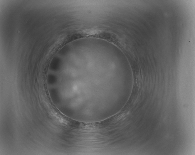 X0000083041393200702021139