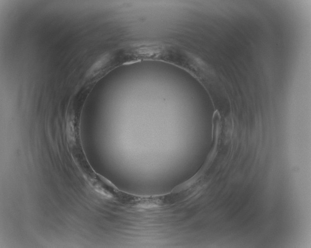 X0000083041394200702021139