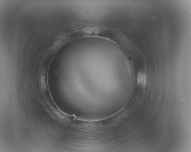 X0000083041396200702021140