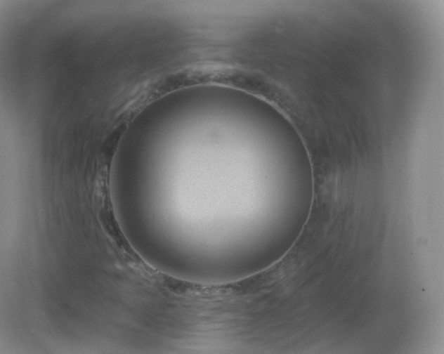 X0000083041397200702021140