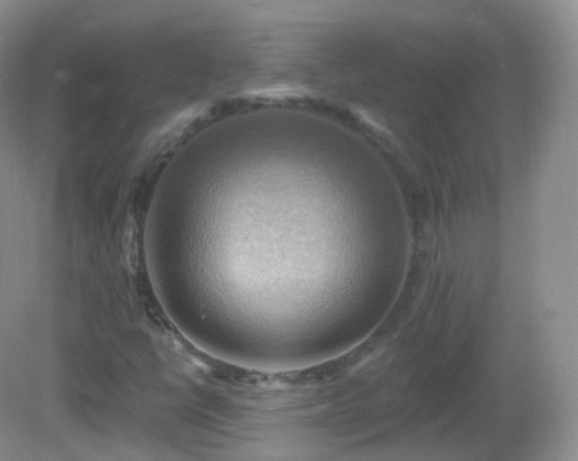 X0000083041398200702021140