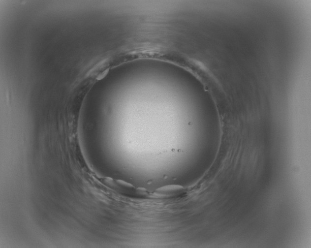 X0000083041399200702021140