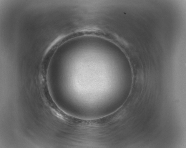 X0000083041400200702021140