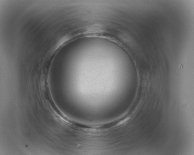 X0000083041401200702021140