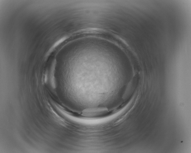 X0000083041402200702021140