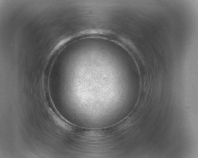 X0000083041404200702021140