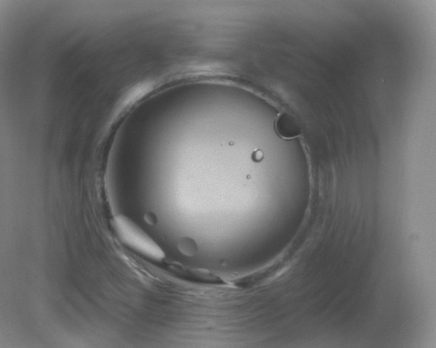 X0000083041405200702021140