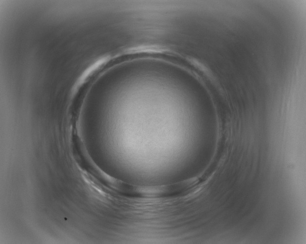 X0000083041406200702021140