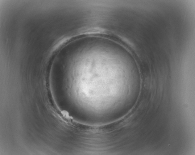 X0000083041407200702021140