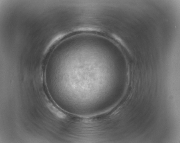 X0000083041408200702021140