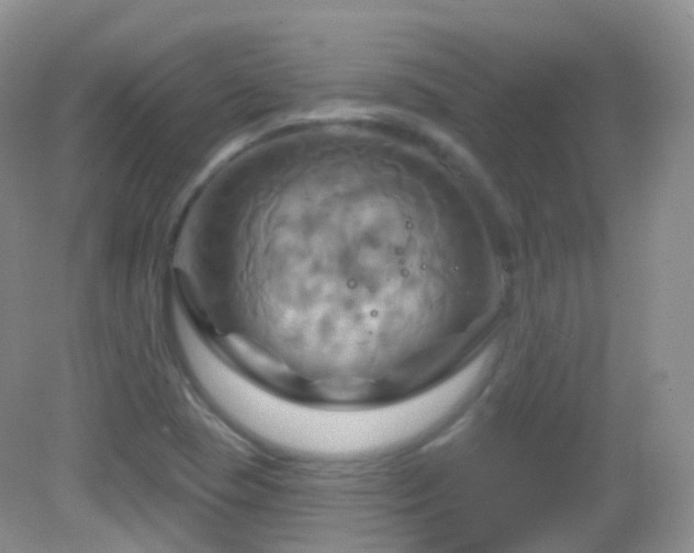 X0000083041409200702021140