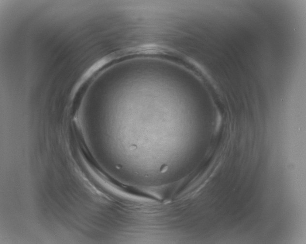 X0000083041410200702021140