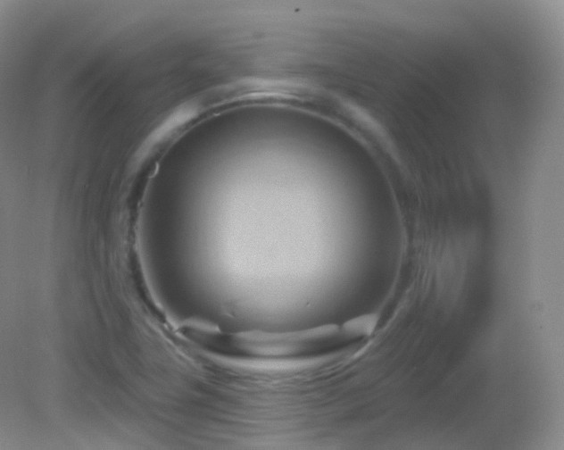 X0000083041411200702021140