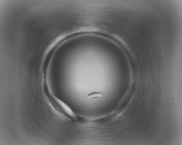 X0000083041414200702021140