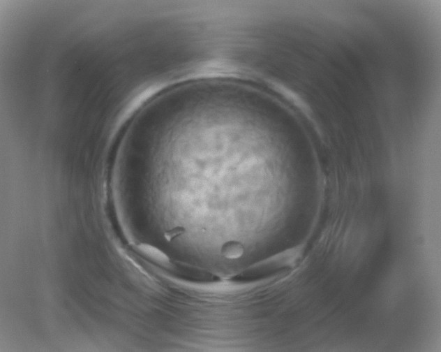 X0000083041415200702021140