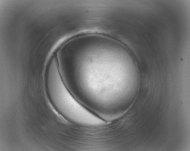 X0000083041416200702021140