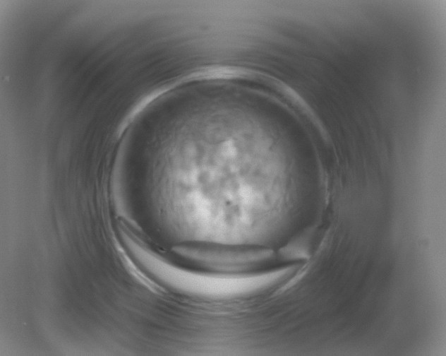 X0000083041417200702021140