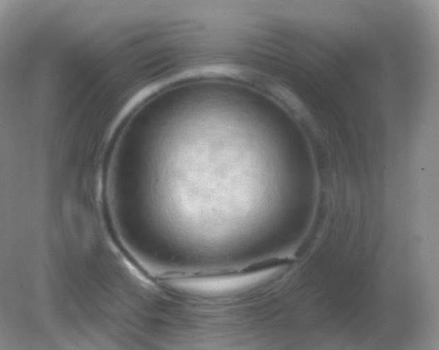 X0000083041420200702021140