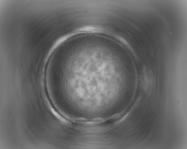 X0000083041421200702021140