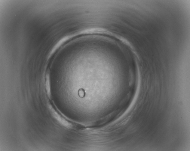 X0000083041422200702021140