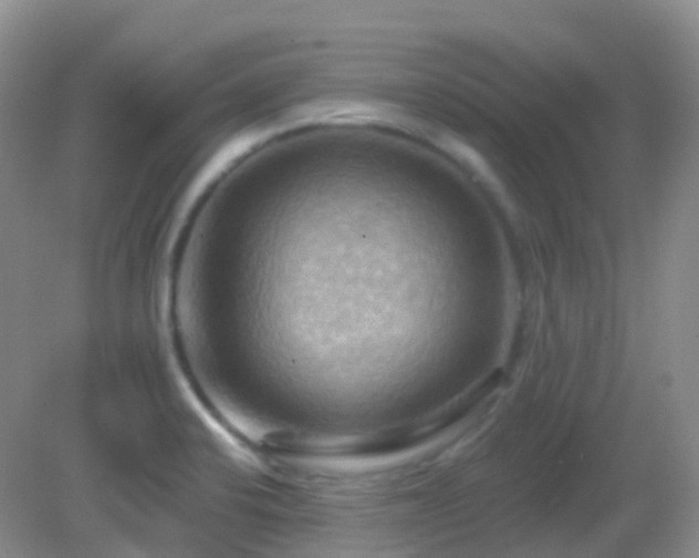 X0000083041424200702021140