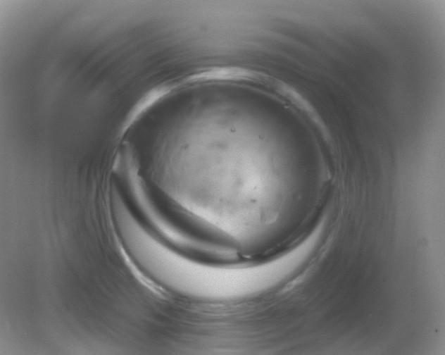 X0000083041425200702021140