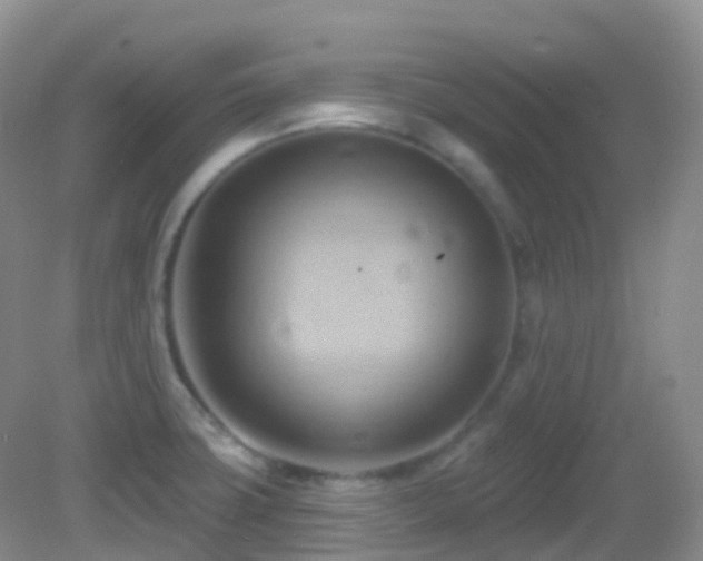 X0000083041427200702021140