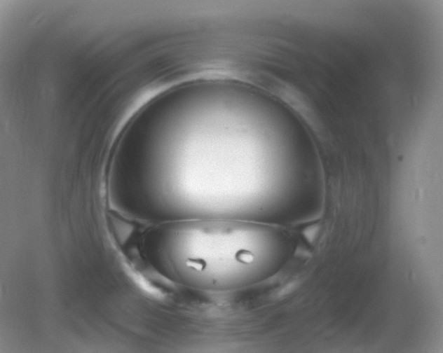 X0000083041428200702021140