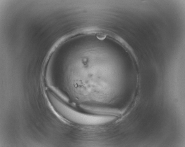 X0000083041429200702021140