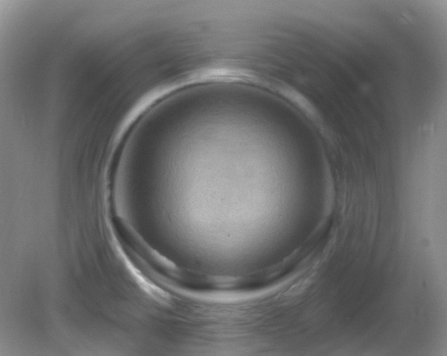 X0000083041430200702021140