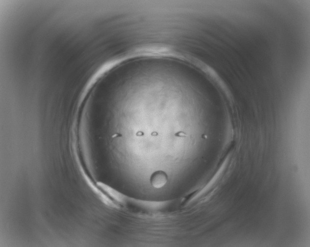 X0000083041432200702021140