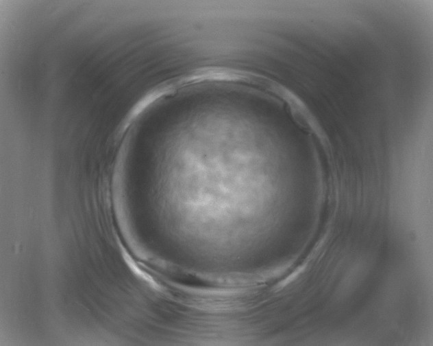 X0000083041433200702021140