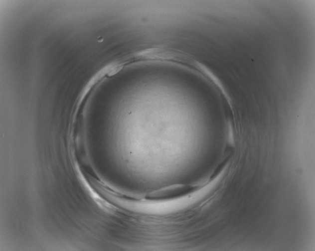 X0000083041434200702021140