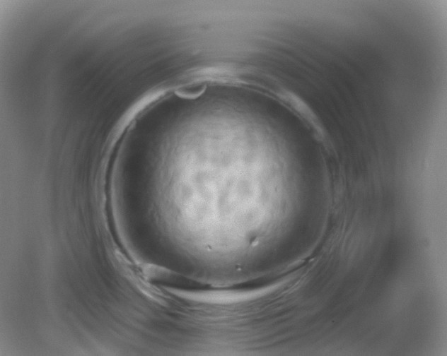 X0000083041435200702021140