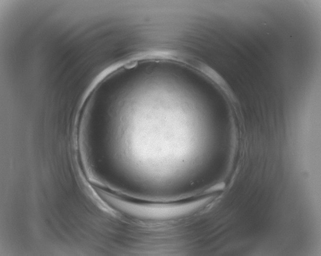 X0000083041436200702021140