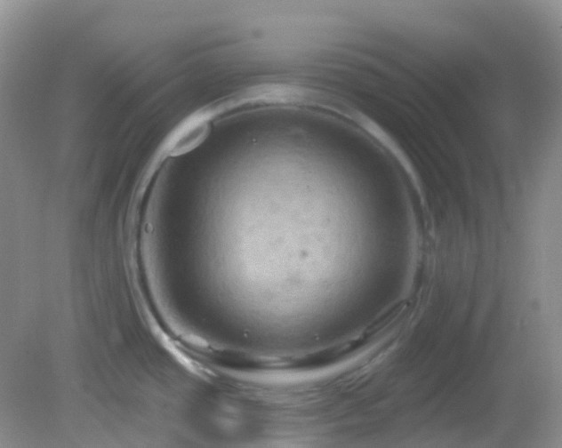 X0000083041437200702021140