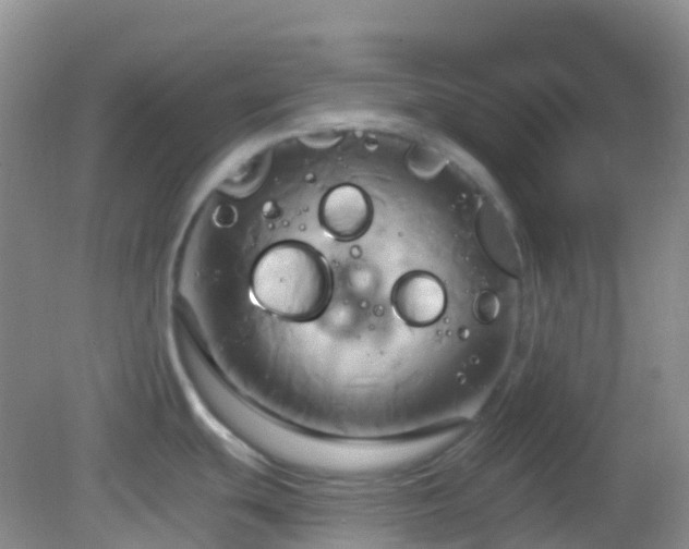 X0000083041439200702021140