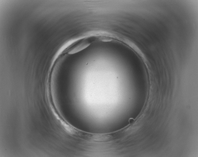 X0000083041440200702021140