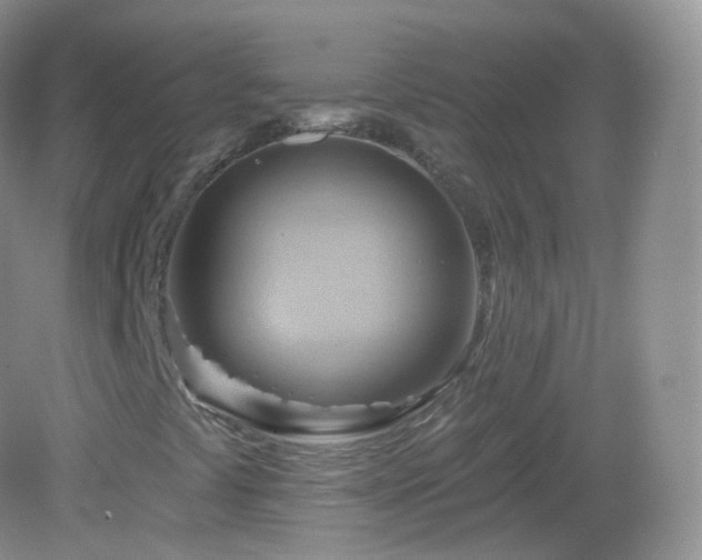 X0000083041441200702021139