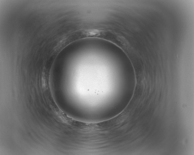 X0000083041442200702021139