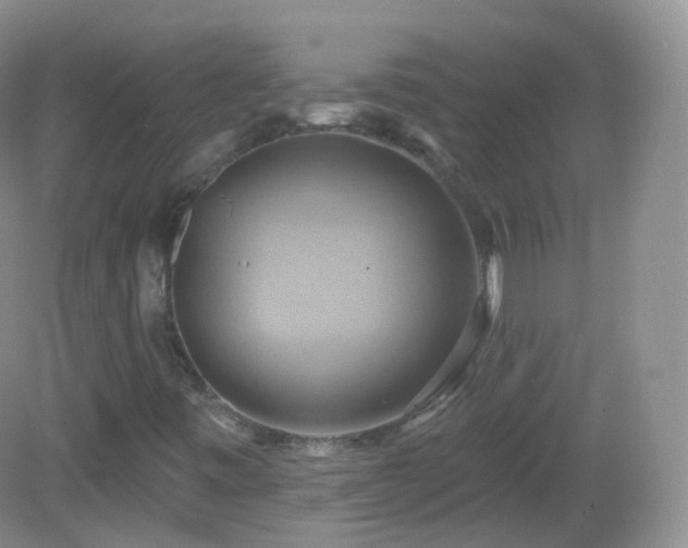 X0000083041443200702021139