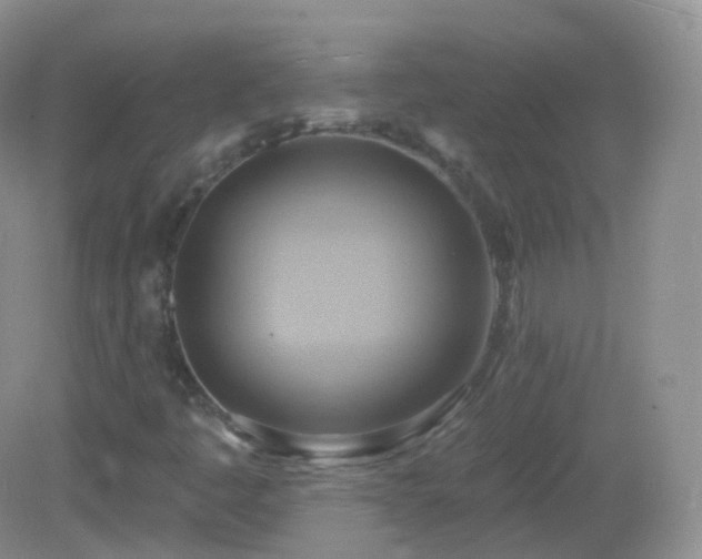 X0000083041445200702021139