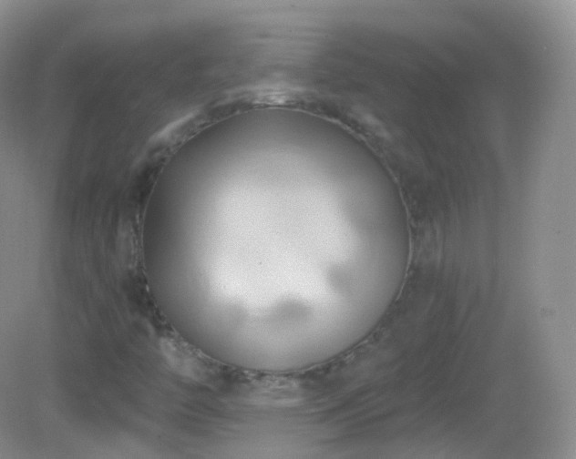 X0000083041446200702021139