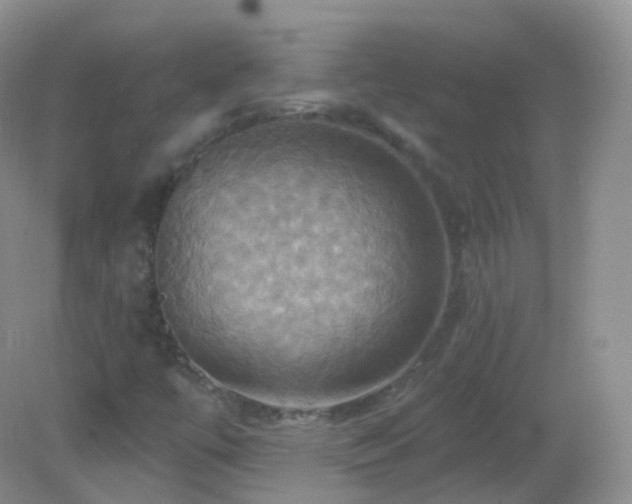 X0000083041447200702021139