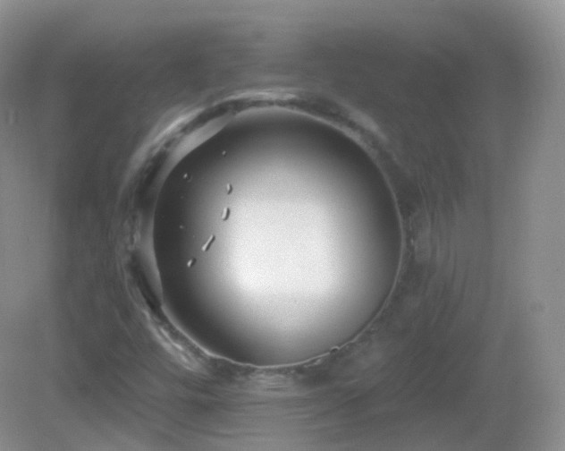 X0000083041448200702021139