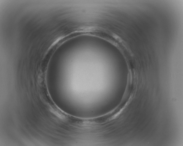 X0000083041449200702021139