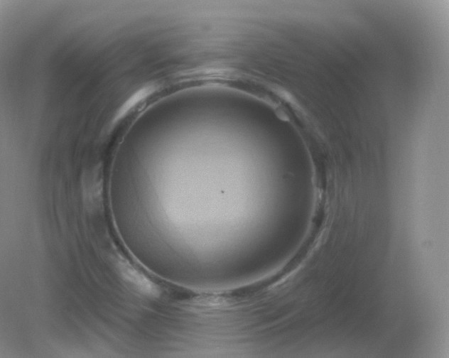 X0000083041450200702021139