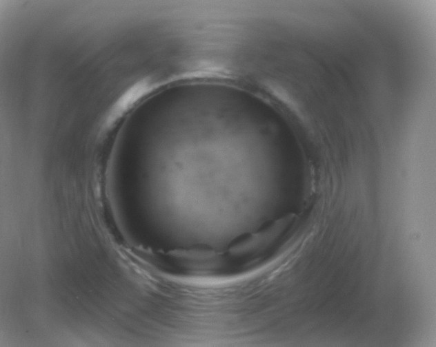 X0000083041455200702021139