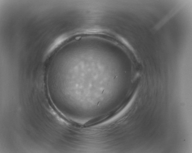 X0000083041456200702021139