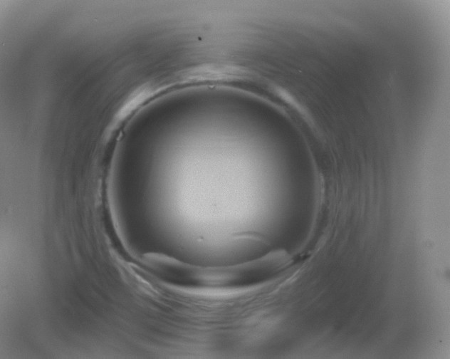 X0000083041459200702021139